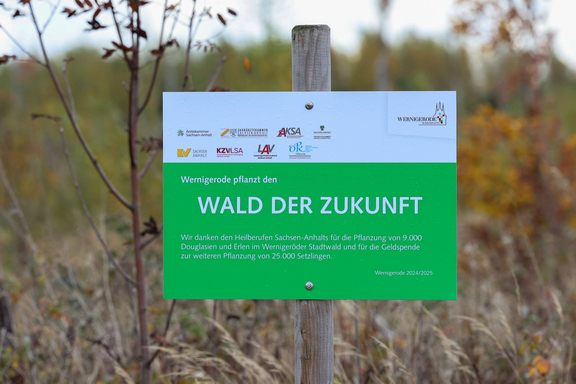 Ein Schild zeigt am Pflanzfeld, dass die Heilberufler Sachsen-Anhalts hier den "Wald der Zukunft" angelegt haben.
